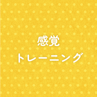 感覚トレーニング